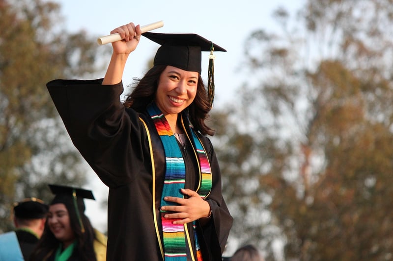 University Degrees